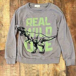 Peek Boys Dino Sweatshirt in Size 8
